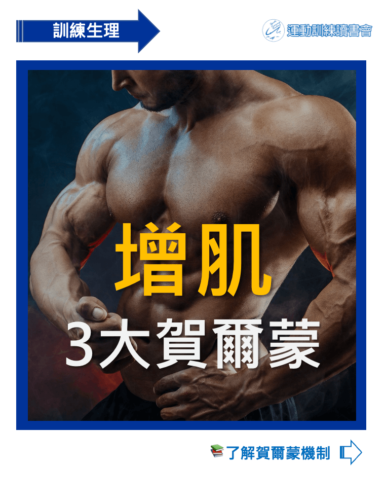 muscle-growth-hormone